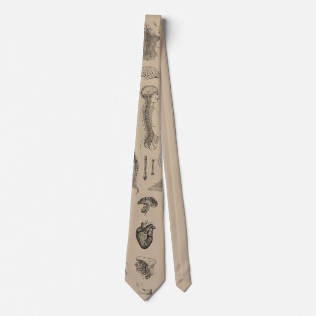 Vintage Anatomy Print Tie (Front)