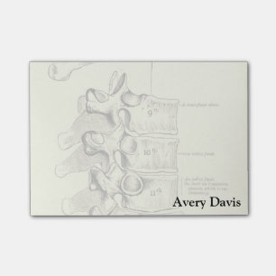 Vintage Anatomy   Vertebrae Post-it Notes