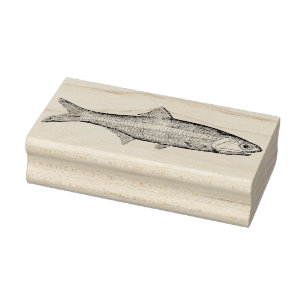 Vintage Anchovy Fish Rubber Art Stamp