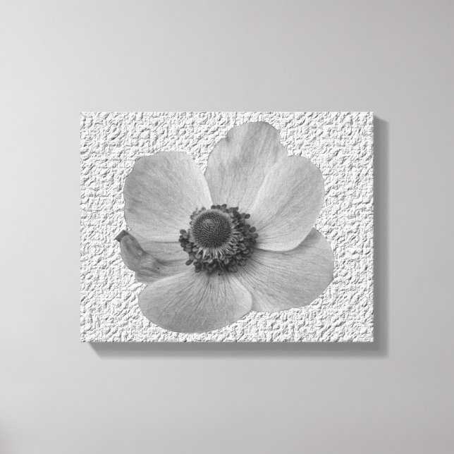 Vintage Anemone Canvas Print (Front)