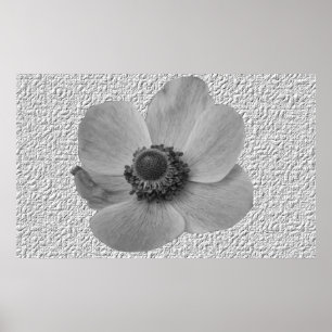 Vintage Anemone Flower Print