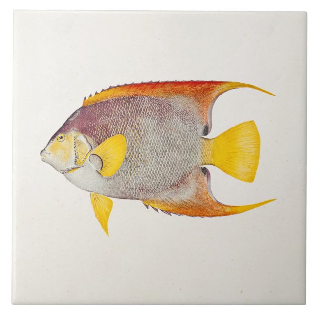 Vintage Angel Fish Antique Hawaiian Print Template Tile (Front)