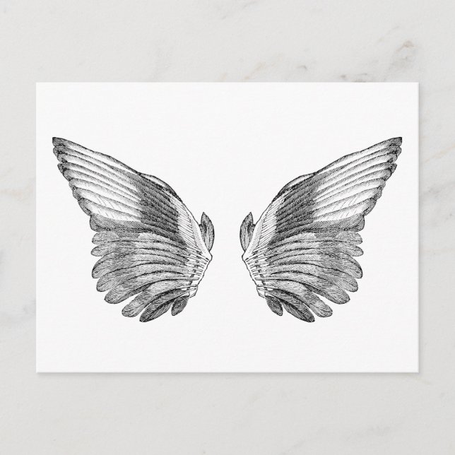 Vintage Angel Wings Postcard (Front)