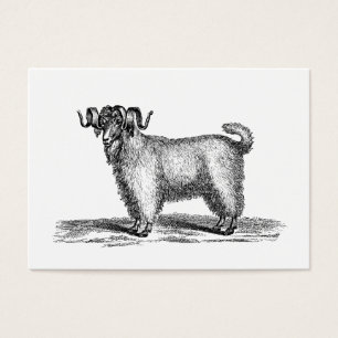 Vintage Angora Goat Illustration - 1800's Goats