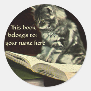Vintage Animal, Kitten Reading a Book Bookplate Classic Round Sticker