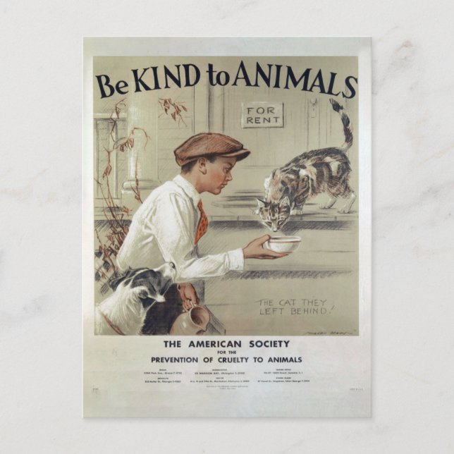 Vintage animal welfare postcard (Front)