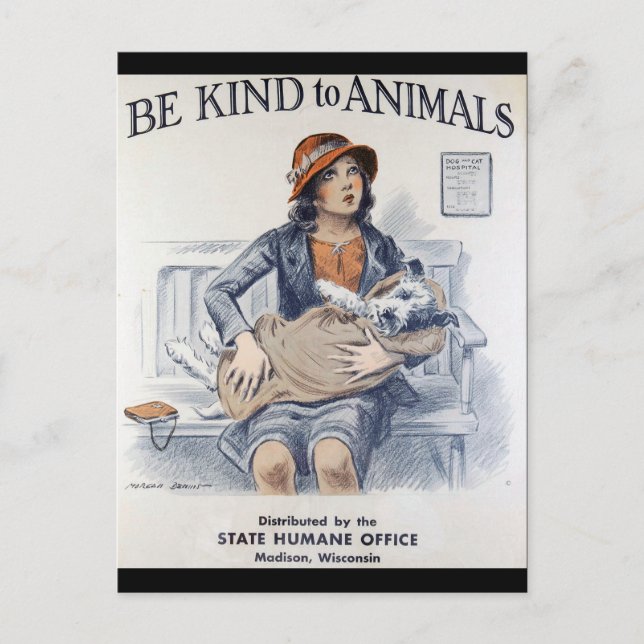 Vintage animal welfare postcard (Front)