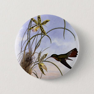 Vintage Animals, Hummingbird Bird Orchid Flowers 6 Cm Round Badge