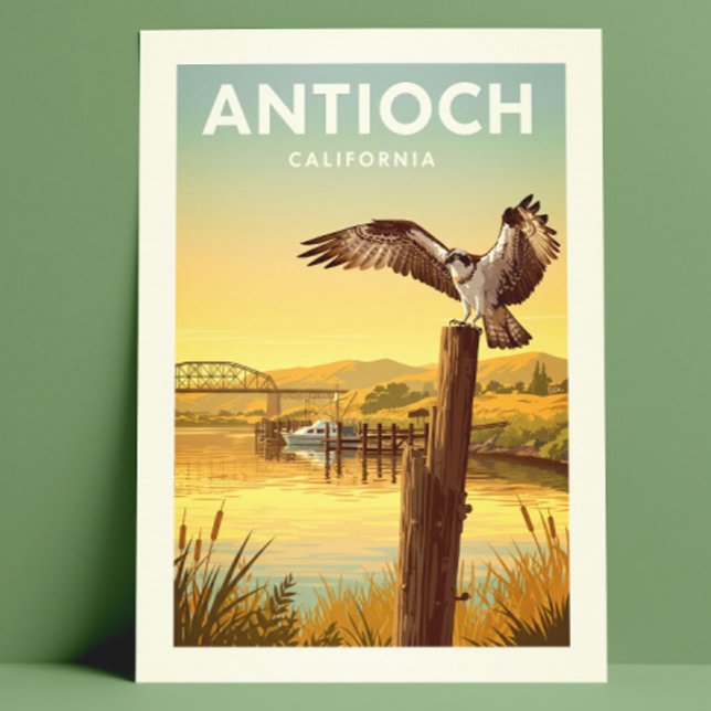Vintage Antioch California Postcard (Creator Uploaded)