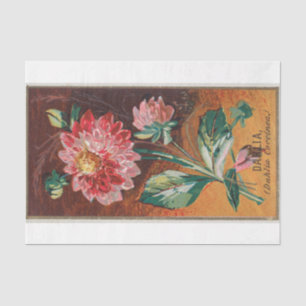 Vintage Antique Classic Dahlia Flowers Tissue Paper