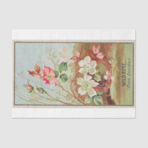 Vintage Antique Classic Wild Rose Flower Tissue Paper