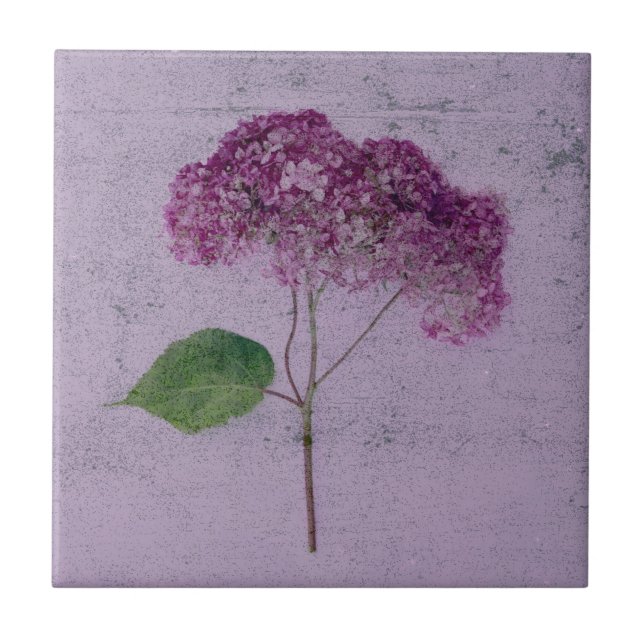 Vintage Antique Purple Hydrangea Country Floral Tile (Front)
