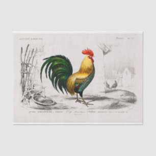 Vintage Antique Rooster Bird Art Decoupage Tissue Paper