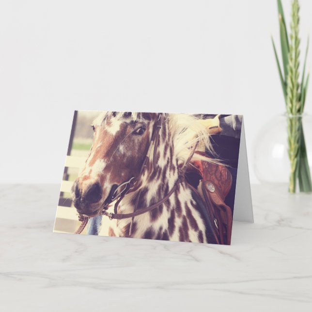 Vintage Appaloosa Show Horse Birthday Card (Front)