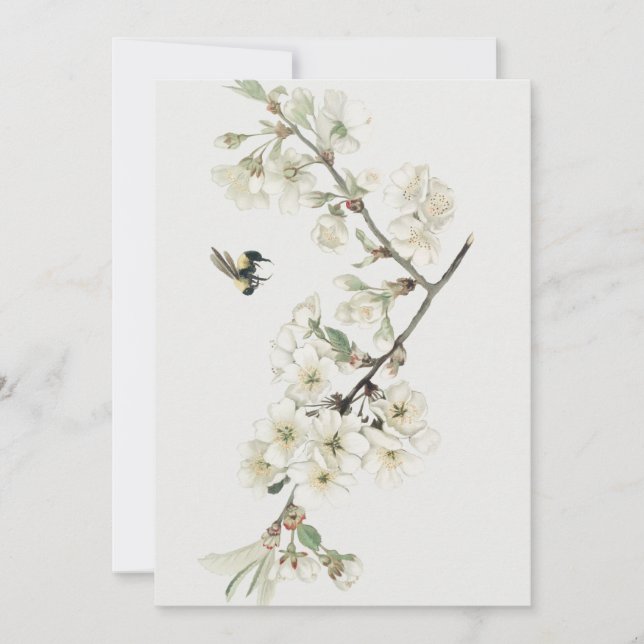 Vintage apple blossom illustration invitation (Front)