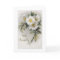 Vintage Apple Blossom Sympathy Card