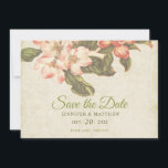 Vintage Apple Blossom Wedding Save the Date Card<br><div class="desc">This beautiful apple blossom save the date card features vintage apple blossom drawings on a background of parchment colored damask. The back of the card has a coordinating damask background. You can customize the front of the card with a the bride and grooms names and wedding date and location.This design...</div>