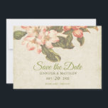 Vintage Apple Blossom Wedding Save the Date Card<br><div class="desc">This beautiful apple blossom save the date card features vintage apple blossom drawings on a background of parchment colored damask. The back of the card has a coordinating damask background. You can customize the front of the card with a the bride and grooms names and wedding date and location.This design...</div>