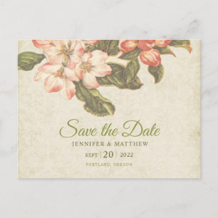 Vintage Apple Blossom  Wedding   Save the Date Postcard