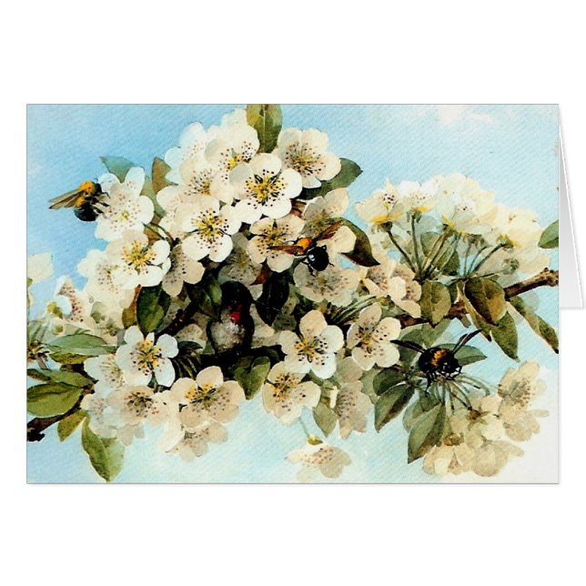 Vintage Apple Blossoms (Front Horizontal)