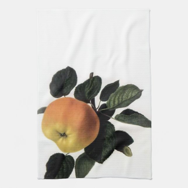 Vintage Apple Branch American MoJo Kitchen Towel (Vertical)