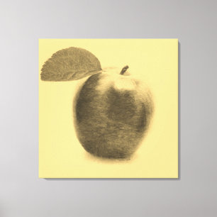 Vintage Apple painting Wrapped Canvas