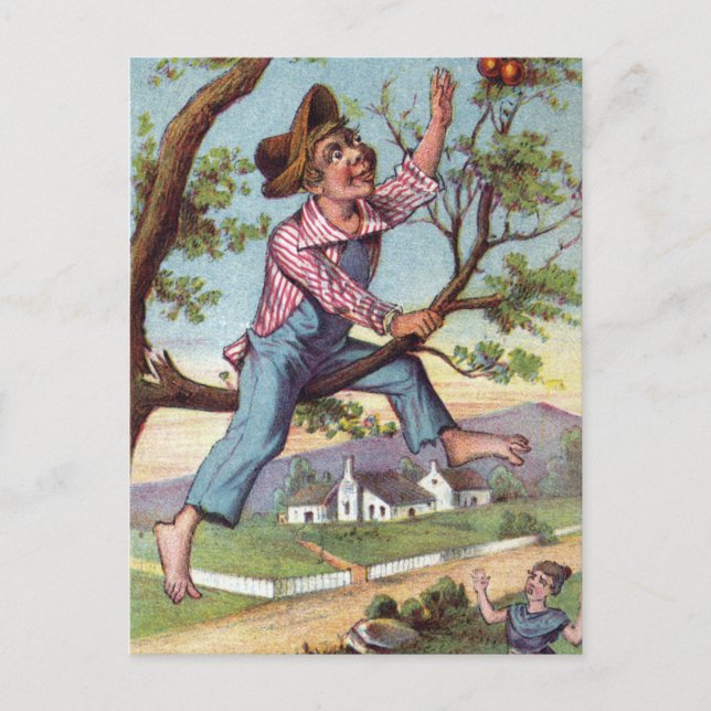 Vintage Apple Picking Postcard (Front)