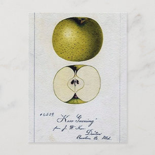 Vintage Apple Recipe Card