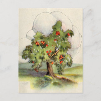 Vintage Apple Tree Postcard