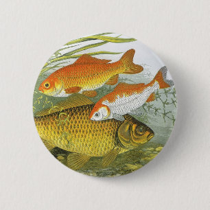 Vintage Aquatic Goldfish Koi Fish, Marine Sea Life 6 Cm Round Badge