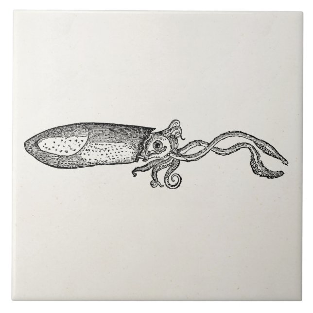 Vintage Aquatic Squid Personalised Blank Template Tile (Front)