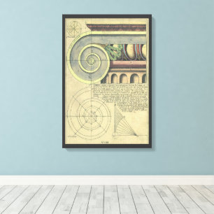 Vintage Architecture; Capital Volute by Vignola Canvas Print