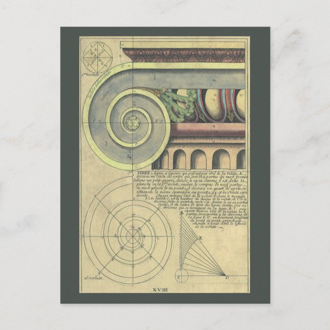 Vintage Architecture; Capital Volute by Vignola Postcard (Front)