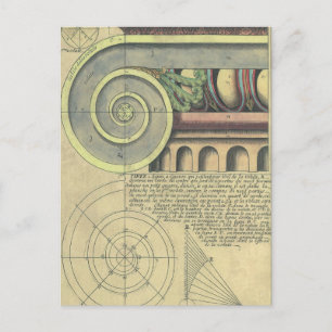 Vintage Architecture; Capital Volute by Vignola Postcard