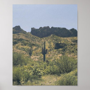 Vintage Arizona Desert Landscape Saguaro Cactus Poster