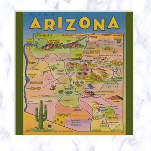 Vintage Arizona Map and Cactus Postcard (Creator Uploaded)