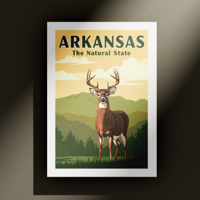 Vintage Arkansas Postcard (Creator Uploaded)