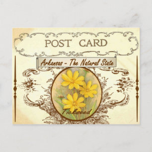 Vintage Arkansas State Flower Postcard