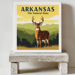 Vintage Arkansas Tile