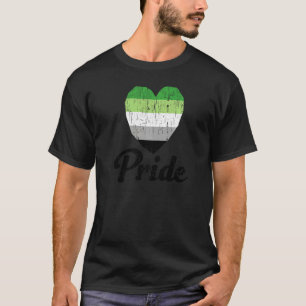 Vintage Aromantic Gay Pride Rainbow Word T-Shirt