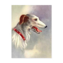 Vintage Art Design Borzoi Dog