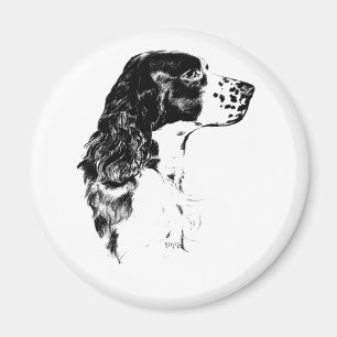 Vintage Art English Springer Spaniel Dog Magnet