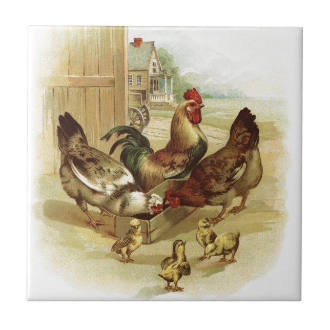 Vintage Art Farm Chickens Tile (Front)
