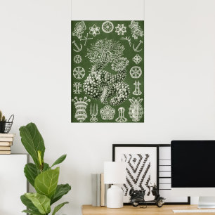 Vintage Art Forms in Nature by Ernst Haeckel Poster