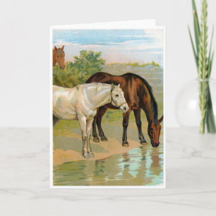Vintage Art - Horses at the Pond, Card