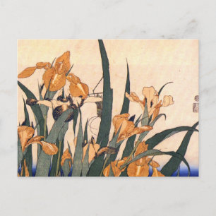 Vintage Art Japanese Iris Flower Postcard