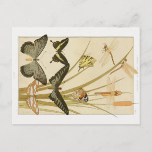 Vintage Art Nouveau Butterflies & Cattails Postcard