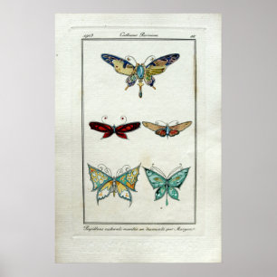 Vintage Art Nouveau Butterfly Jewellery by Morgan Poster