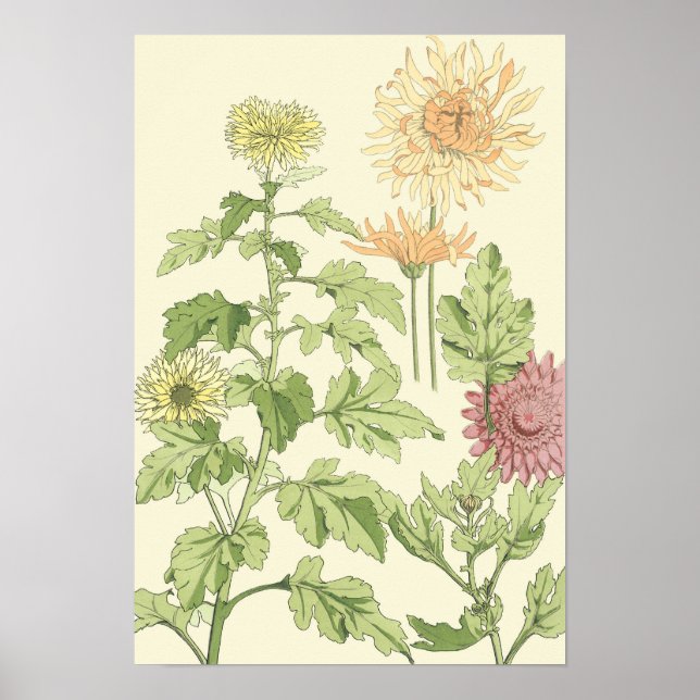 Vintage Art Nouveau, Chrysanthemums in a Garden Poster (Front)