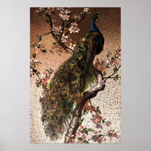 Vintage Art Nouveau Peacock on Flowering Tree Poster